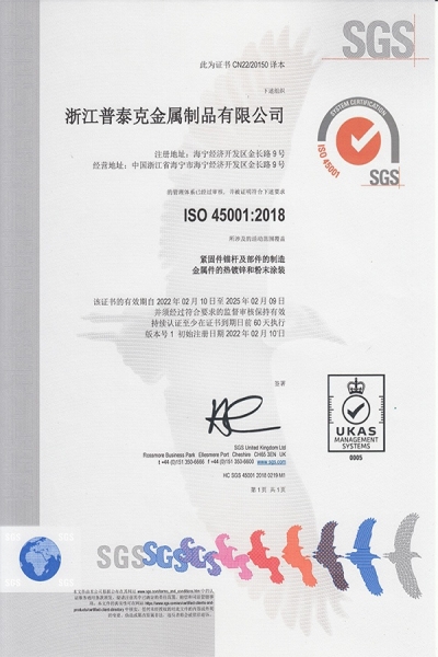 ISO 45001 中文